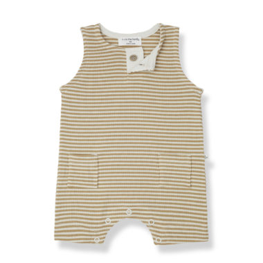 Mono Mauro havana 1 mes