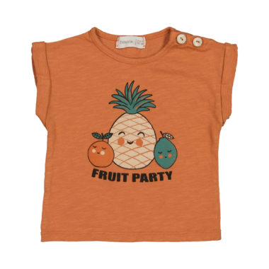 Samarreta Banana Fruit Party brick