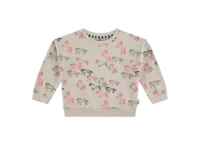 Dessuadora Cavalls stone