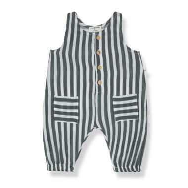 Mono Inigo petroleum